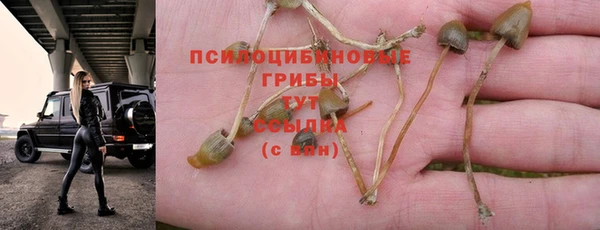 таблы Арсеньев
