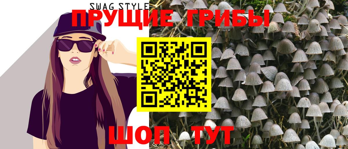 Тайшет  Галлюциногенные грибы Cubensis  Вход с VPN 