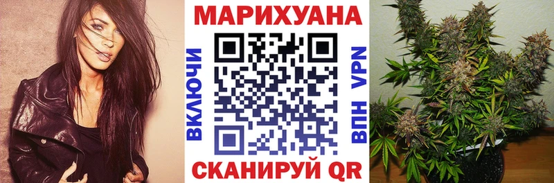 кракен сайт  Тайшет  Каннабис планчик 